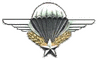 Anciens parachutistes Auvergne